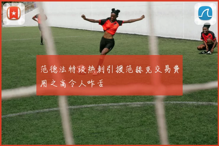 范德法特谈热刺引援范赫克交易费用之高令人咋舌