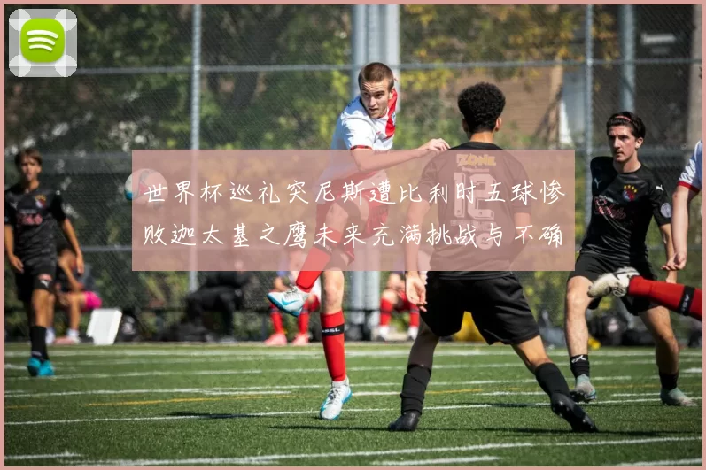 世界杯巡礼突尼斯遭比利时五球惨败迦太基之鹰未来充满挑战与不确定性