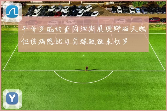 平价罗威的奎因坦斯展现野猫天赋但伤病隐忧与罚球致敬米切罗